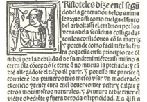Libro del arte de las comadres o madrinas y del regimiento de las preñadas y paridas y de los niños – Vicent Garcia Editores – M.618.2c21d – Biblioteca Complutense (Madrid, Spain)