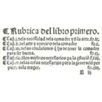 Libro del arte de las comadres o madrinas y del regimiento de las preñadas y paridas y de los niños – Vicent Garcia Editores – M.618.2c21d – Biblioteca de la Facultad de Medicina de la Universidad Complutense de Madrid (Madrid, Spain)