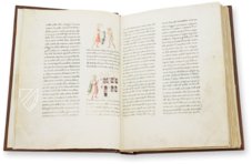 Life and Work of Francis of Assisi – ArtCodex – Gaddi 112 – Biblioteca Medicea Laurenziana (Florence, Italy)