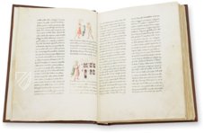 Life and Works of Francis of Assisi – ArtCodex – Gaddi 112 – Biblioteca Medicea Laurenziana (Florence, Italy)