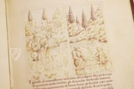 Life of Saint Benedict – Il Bulino, edizioni d'arte – ms. 239 B.4.13 – Biblioteca Teresiana (Montava, Italy)