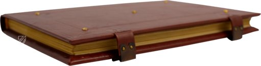 Life of Saint Benedict – Il Bulino, edizioni d'arte – ms. 239 B.4.13 – Biblioteca Teresiana (Montava, Italy)