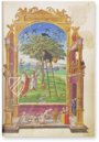 London Splendor Solis – M. Moleiro Editor – Harley 3469  – British Library (London, United Kingdom)