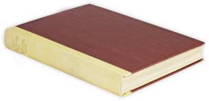 Lorsch Gospels – Prestel Verlag – Pal.lat.50|Inv. Nr. 138-1866 – Biblioteca Apostolica Vaticana (Vatican City, Vatican City State)