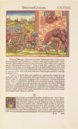 Luther Bible of 1534 – Taschen – Cl I: 58 (b) und (c)  – Herzogin Anna Amalia Bibliothek (Weimar, Germany)