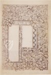 Macclesfield Alphabet Book – British Library – Add MS 88887 – British Library (London, United Kingdom)
