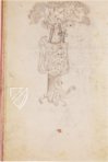 Macclesfield Alphabet Book – British Library – Add MS 88887 – British Library (London, United Kingdom)