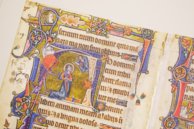 Macclesfield Psalter – Thames and Hudson – MS 1–2005 – Fitzwilliam Museum (Cambridge, United Kingdom)