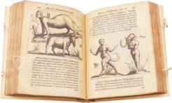 Manuscripts of the Institut de France – Faksimile Verlag – mss A - M – Institut de France (Paris, France)