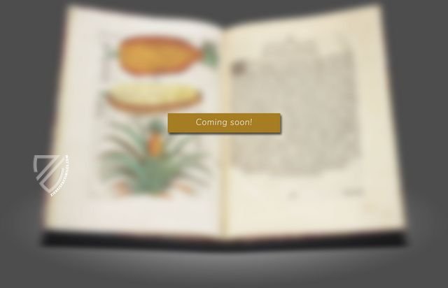 Manuscripts of the Institut de France – Faksimile Verlag – Mss "A" to "M" – Institut de France (Paris, France)