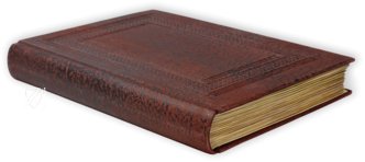 Marian Homilies – Vat. gr. 1162 – Biblioteca Apostolica Vaticana (Vatican City, State of the Vatican City) Facsimile Edition