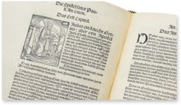 Martin Luther’s September Bible from 1522 – Manuscriptum – Nicolaus Copernicus University Library (Torun, Poland)