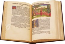 Martin Luther - The 1534 Bible – Archiv Verlag – Cl I: 58 (b) und (c)  – Herzogin Anna Amalia Bibliothek (Weimar, Germany)