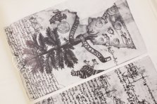 Matrícula de Huexotzinco – Akademische Druck- u. Verlagsanstalt (ADEVA) – Ms. Mex. 387 – Bibliothèque nationale de France (Paris, France) Matrícula de Huexotzinco – Akademische Druck- u. Verlagsanstalt (ADEVA) – Ms. Mex. 387 – Bibliothèque nationale de France (Paris, France)