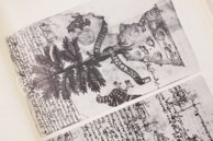 Matrícula de Huexotzinco – Akademische Druck- u. Verlagsanstalt (ADEVA) – Ms. Mex. 387 – Bibliothèque nationale de France (Paris, France) Matrícula de Huexotzinco – Akademische Druck- u. Verlagsanstalt (ADEVA) – Ms. Mex. 387 – Bibliothèque nationale de France (Paris, France)