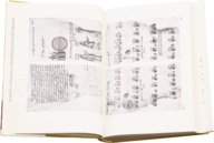 Matrícula de Huexotzinco – Akademische Druck- u. Verlagsanstalt (ADEVA) – Ms. Mex. 387 – Bibliothèque nationale de France (Paris, France) Matrícula de Huexotzinco – Akademische Druck- u. Verlagsanstalt (ADEVA) – Ms. Mex. 387 – Bibliothèque nationale de France (Paris, France)