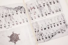 Matrícula de Huexotzinco – Akademische Druck- u. Verlagsanstalt (ADEVA) – Ms. Mex. 387 – Bibliothèque nationale de France (Paris, France) Matrícula de Huexotzinco – Akademische Druck- u. Verlagsanstalt (ADEVA) – Ms. Mex. 387 – Bibliothèque nationale de France (Paris, France)