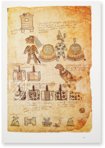 Matricula de tributos - Codex Mendoza – Codex 35-52 – Museo Nacional de Antropología (Mexico City, Mexico) Facsimile Edition