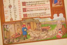 Mayer van den Bergh Breviary – C. Weckesser – Museum Mayer van den Bergh (Antwerp, Belgium)