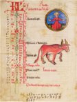 Medical and Astrological Almanac – Quaternio Verlag Luzern – Ms. 7.141 – Bibliothèque nationale et universitaire (Strasbourg, France)