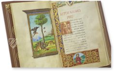 Medici Aesop – Patrimonio Ediciones – Spencer 50 – New York Public Library (New York, USA)