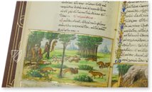 Medici Aesop – Patrimonio Ediciones – Spencer 50 – New York Public Library (New York, USA)