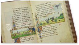 Medici Aesop – Patrimonio Ediciones – Spencer 50 – New York Public Library (New York, USA)