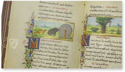 Medici Aesop – Patrimonio Ediciones – Spencer 50 – New York Public Library (New York, USA)