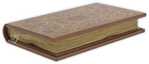 Medici Aesop – Patrimonio Ediciones – Spencer 50 – New York Public Library (New York, USA)