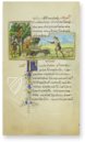 Medici Aesop – Patrimonio Ediciones – Spencer 50 – The New York Public Library  (New York, USA) / Private Collection