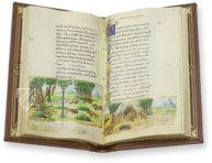 Medici Aesop – Patrimonio Ediciones – Spencer 50 – The New York Public Library  (New York, USA) / Private Collection