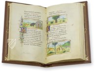 Medici Aesop – Patrimonio Ediciones – Spencer 50 – The New York Public Library  (New York, USA) / Private Collection