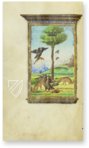 Medici Aesop – Patrimonio Ediciones – Spencer 50 – The New York Public Library  (New York, USA) / Private Collection