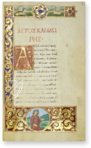 Medici Aesop – Patrimonio Ediciones – Spencer 50 – The New York Public Library  (New York, USA) / Private Collection