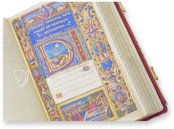 Medici-Rothschild Hours – Franco Cosimo Panini Editore – Ms. 16 – Rothschild Collection at Waddesdon Manor (Aylesbury, United Kingdom)