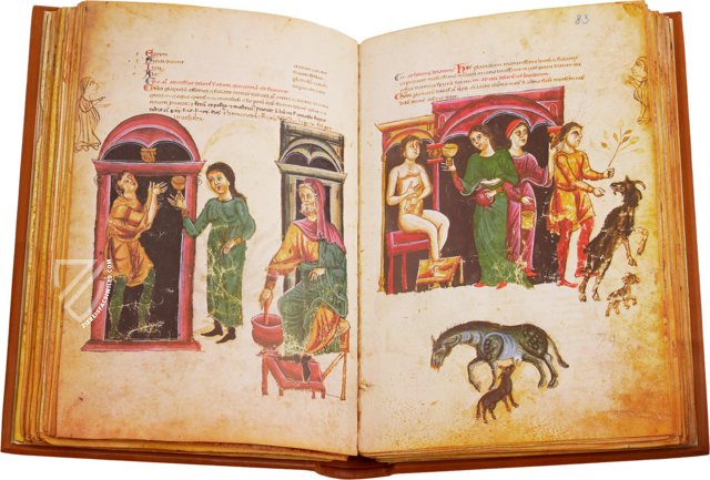 Medicina Antiqua – Club du Livre – Cod. Vindob. 93 – Österreichische Nationalbibliothek (Vienna, Austria) Facsimile Edition