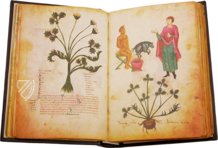 Medicina Antiqua – Cod. Vindob. 93 – Österreichische Nationalbibliothek (Vienna, Austria) Facsimile Edition