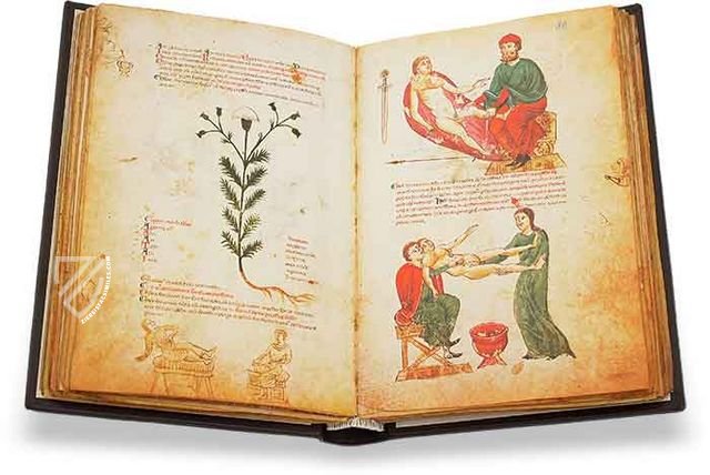 Medicina Antiqua - Ziereis Facsimiles