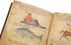 Metz Codex – Testimonio Compañía Editorial – Ms. no. 3307 – Biblioteca Nacional de España (Madrid, Spain)