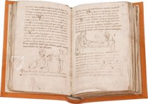 Millstatt Genesis and Physiologus – Akademische Druck- u. Verlagsanstalt (ADEVA) – Manuscript 6/19 – Kärntner Landesarchiv (Klangenfurt, Austria) Millstatt Genesis and Physiologus – Akademische Druck- u. Verlagsanstalt (ADEVA) – Manuscript 6/19 – Kärntner Landesarchiv (Klangenfurt, Austria)