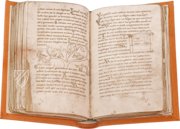 Millstatt Genesis and Physiologus – Akademische Druck- u. Verlagsanstalt (ADEVA) – Manuscript 6/19 – Kärntner Landesarchiv (Klangenfurt, Austria) Millstatt Genesis and Physiologus – Akademische Druck- u. Verlagsanstalt (ADEVA) – Manuscript 6/19 – Kärntner Landesarchiv (Klangenfurt, Austria)