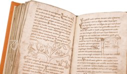 Millstatt Genesis and Physiologus – Akademische Druck- u. Verlagsanstalt (ADEVA) – Manuscript 6/19 – Kärntner Landesarchiv (Klangenfurt, Austria) Millstatt Genesis and Physiologus – Akademische Druck- u. Verlagsanstalt (ADEVA) – Manuscript 6/19 – Kärntner Landesarchiv (Klangenfurt, Austria)