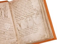 Millstatt Genesis and Physiologus – Akademische Druck- u. Verlagsanstalt (ADEVA) – Manuscript 6/19 – Kärntner Landesarchiv (Klangenfurt, Austria) Millstatt Genesis and Physiologus – Akademische Druck- u. Verlagsanstalt (ADEVA) – Manuscript 6/19 – Kärntner Landesarchiv (Klangenfurt, Austria)