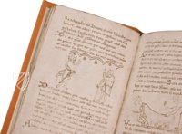 Millstatt Genesis and Physiologus – Akademische Druck- u. Verlagsanstalt (ADEVA) – Manuscript 6/19 – Kärntner Landesarchiv (Klangenfurt, Austria) Millstatt Genesis and Physiologus – Akademische Druck- u. Verlagsanstalt (ADEVA) – Manuscript 6/19 – Kärntner Landesarchiv (Klangenfurt, Austria)