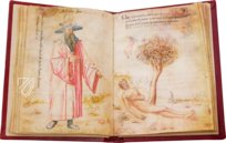 Miscellany of Alchemy – Ediciones Grial – MS Ashburnham 1166 – Biblioteca Medicea Laurenziana (Florence, Italy)