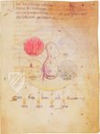 Miscellany of Alchemy – Ediciones Grial – MS Ashburnham 1166 – Biblioteca Medicea Laurenziana (Florence, Italy)