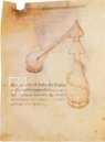 Miscellany of Alchemy – Ediciones Grial – MS Ashburnham 1166 – Biblioteca Medicea Laurenziana (Florence, Italy)