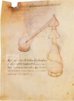 Miscellany of Alchemy – MS Ashburnham 1166 – Biblioteca Medicea Laurenziana (Florence, Italy) Facsimile Edition