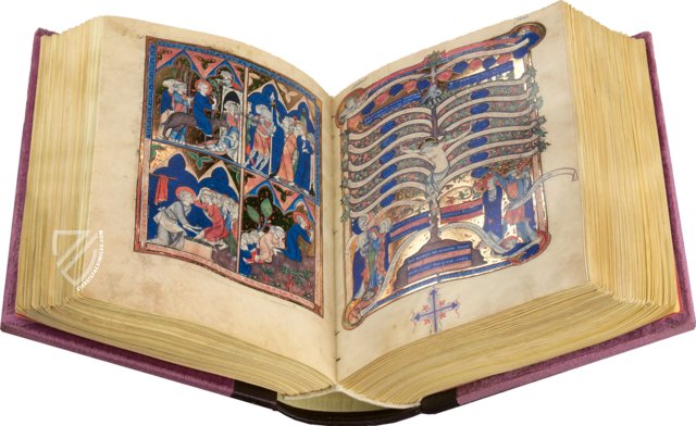Missal of Saint-Nicaise β AyN Ediciones β Lat. Q. v. 1. 78 β National Library of Russia (St. Petersburg, Russia) Missal of Saint-Nicaise β AyN Ediciones β Lat. Q. v. 1. 78 β National Library of Russia (St. Petersburg, Russia)