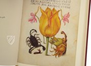 Model Book of Calligraphy – Faksimile Verlag – Ms. 20 (86. MV. 527) – Getty Museum (Los Angeles, USA)